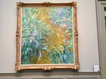 ThePathThroughTheIrises