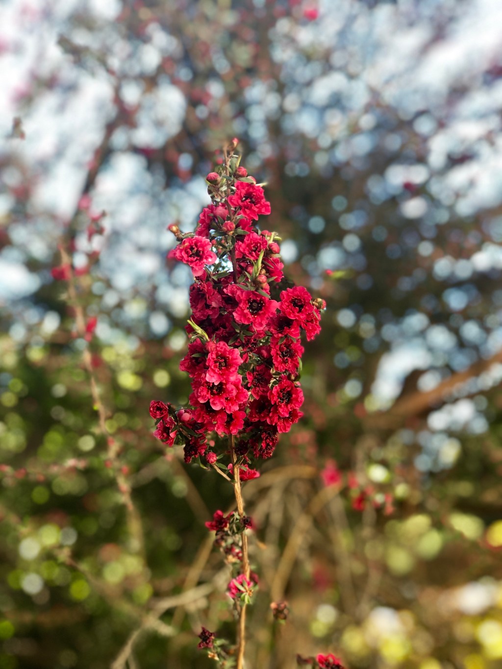 Striving Versus Arriving